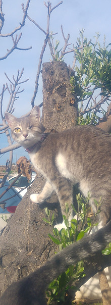 20201213_120407.jpg