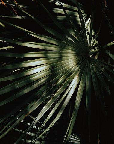 andrew-anderson-Cvu0EMZcalQ-unsplash.jpg