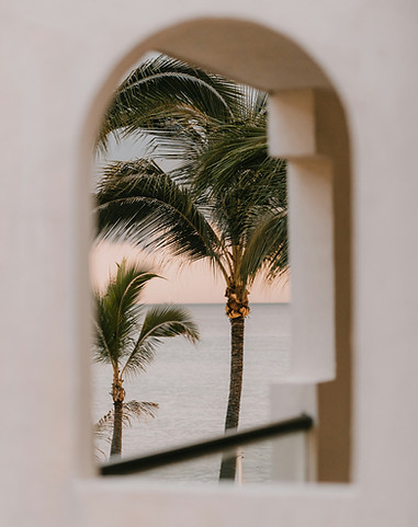 miguel-hernandez-MxTFmj8jWUQ-unsplash.jpg