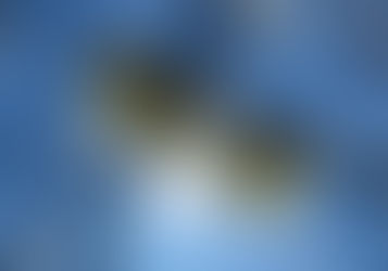 《新年のご挨拶》