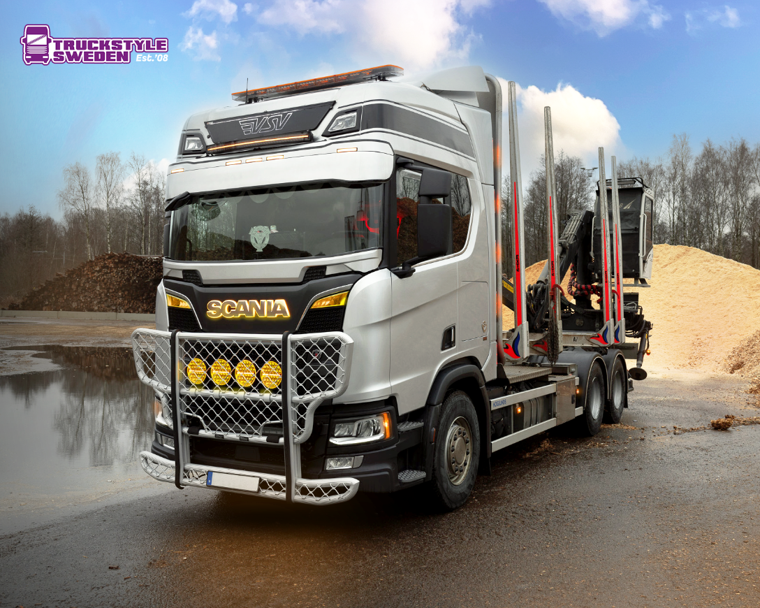Truckstyle Sweden Scania NG Stoneguard