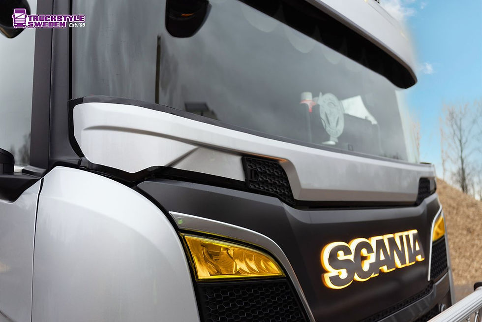 Thumbnail: Truckstyle Sweden Scania NG Stoneguard