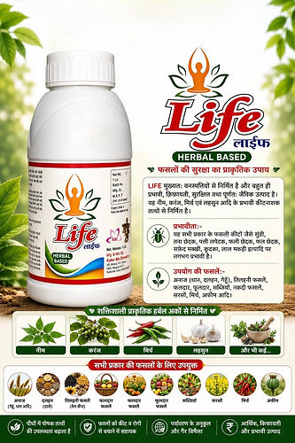 WhatsApp Image 2026-06-04 at 1.10.10 PM.jpeg