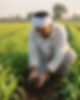 WhatsApp Image 2026-05-19 at 1.24.54 PM.jpeg