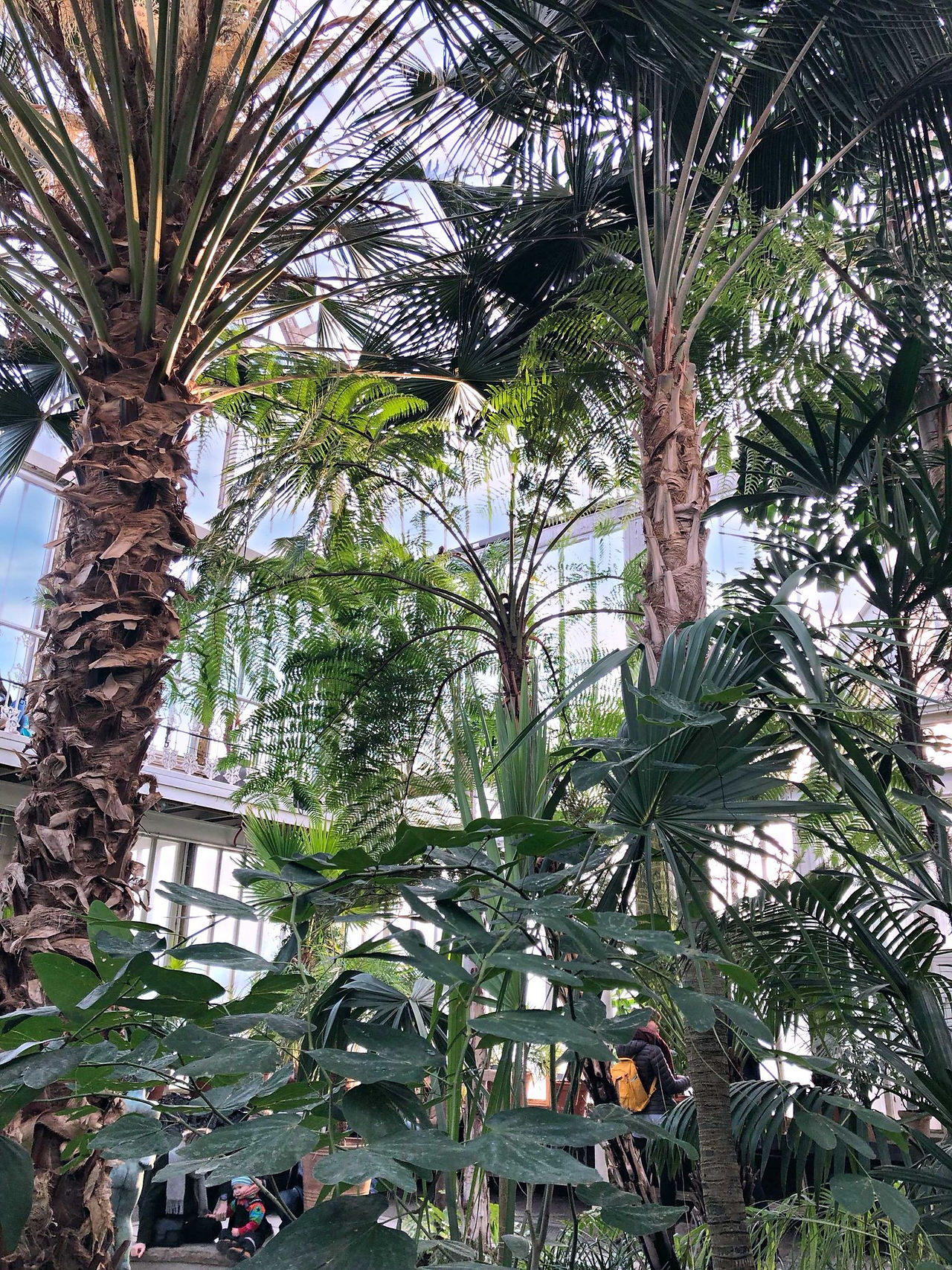 Palm house