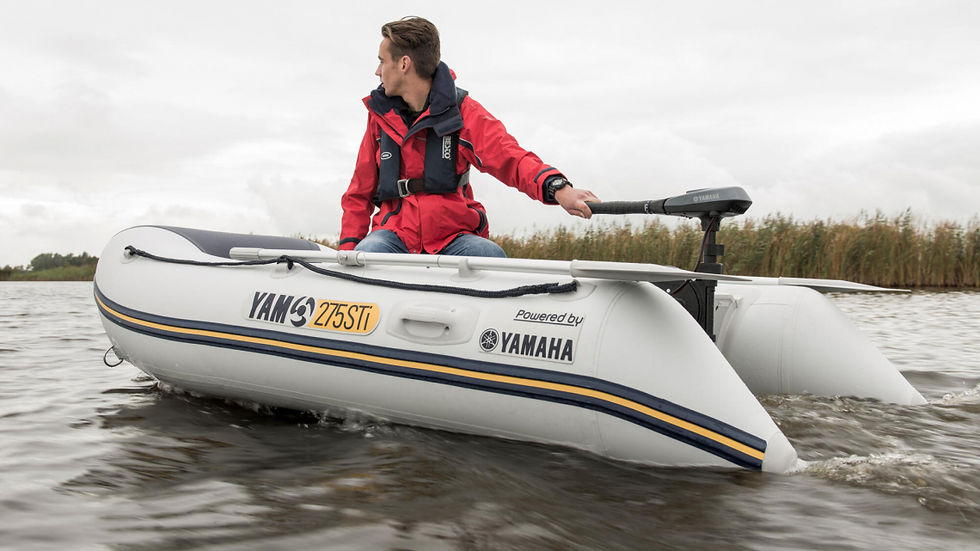 Миниатюра: Електромотор Yamaha M20
