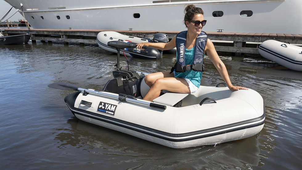 Прев'ю: Електромотор Yamaha MX18