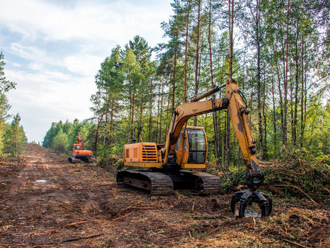 Protect Our Roadless Areas
