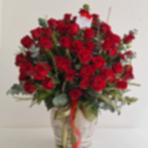 140 Rosas rojas en macetón