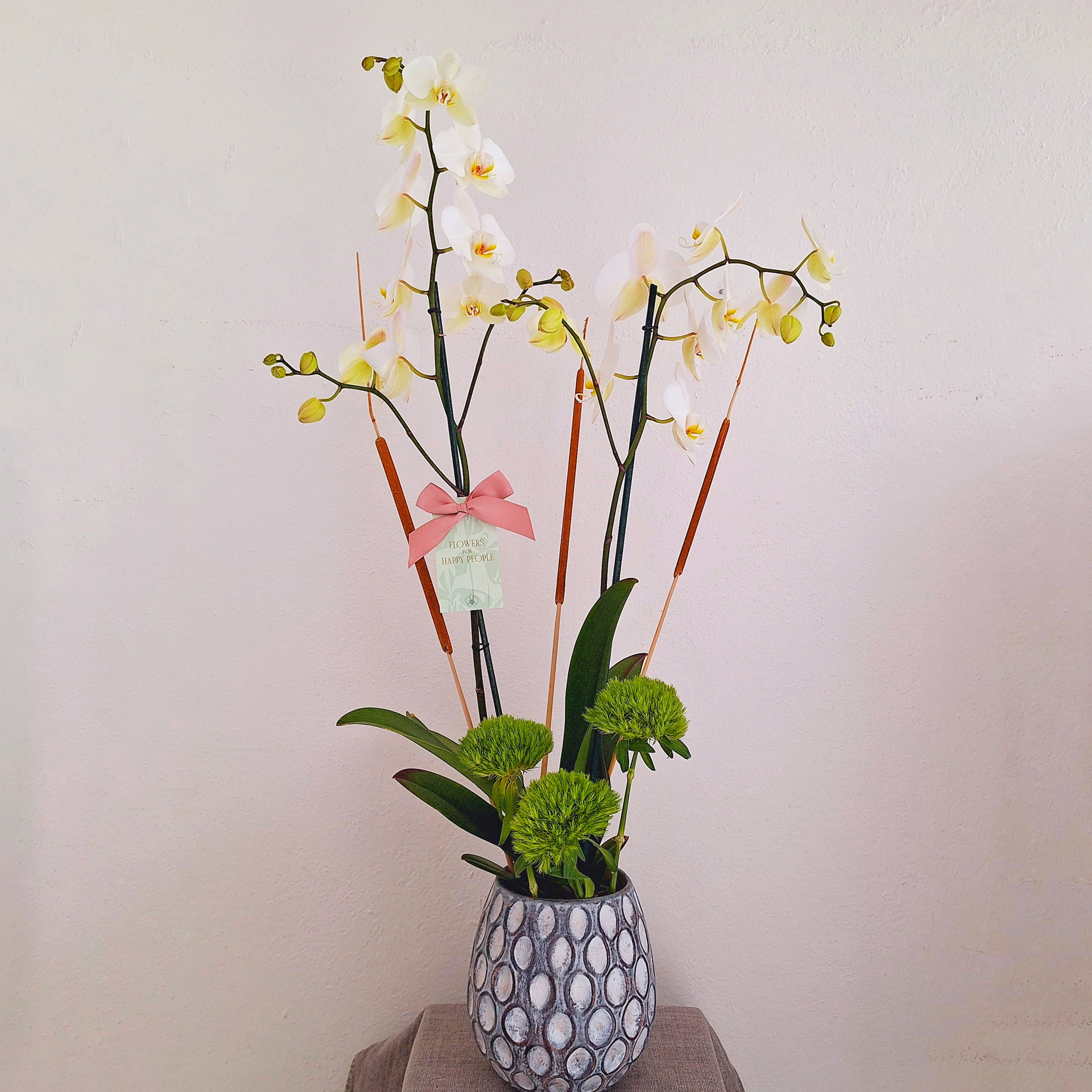 Orquídea en florero optico