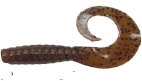 g-pumpkinseed