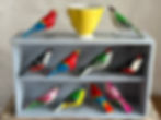 Tamka birds