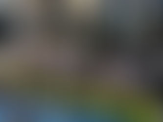 Sterke prestaties op de 400m in Herentals!