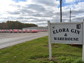 Experience Local Cotton at Elora Gin & Warehouse