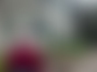 Field Notes: Give the Gift of Tennessee