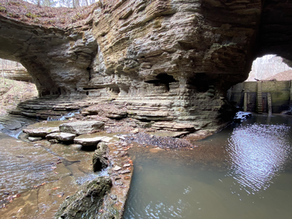 A Week in Wayne County with Hey Y'all