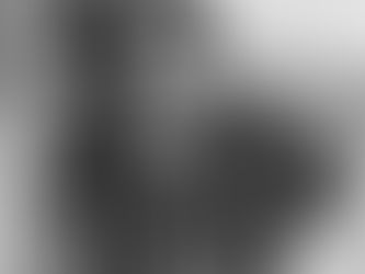 US Grant. Learn History