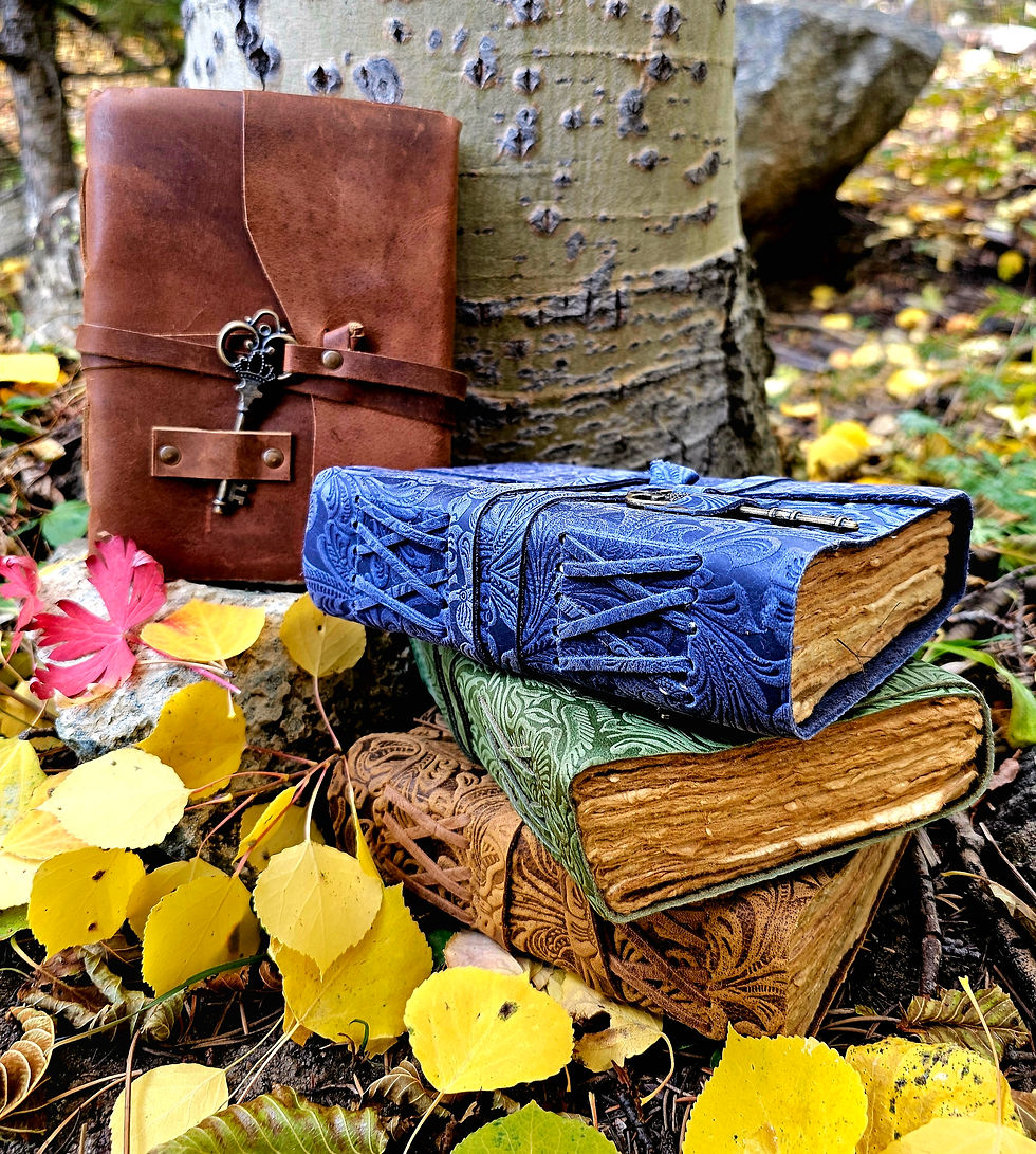 Thumbnail: Journal with Handmade Paper