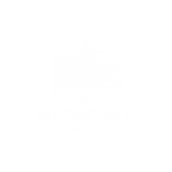 Logo (White) Medicine Festival 26.png