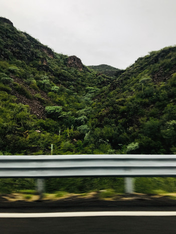 4.Montes, Rowan.jpeg