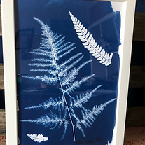Cyanotype avec cadre blanc collection de fougères fait main créatrice pièce unique