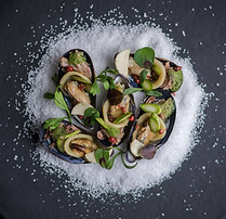 Gourmet Oysters