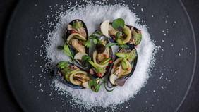 Gourmet Oysters