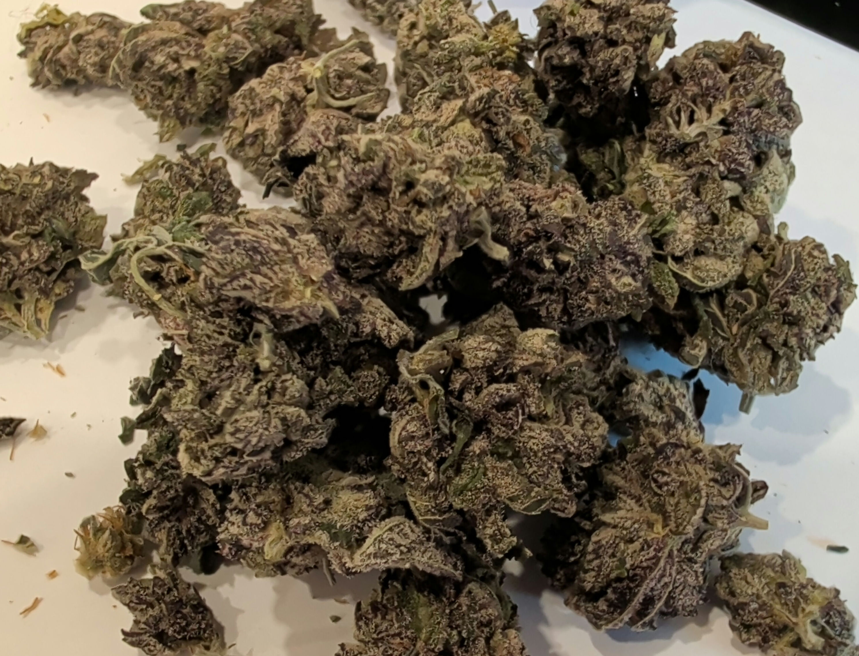 White Truffle oz