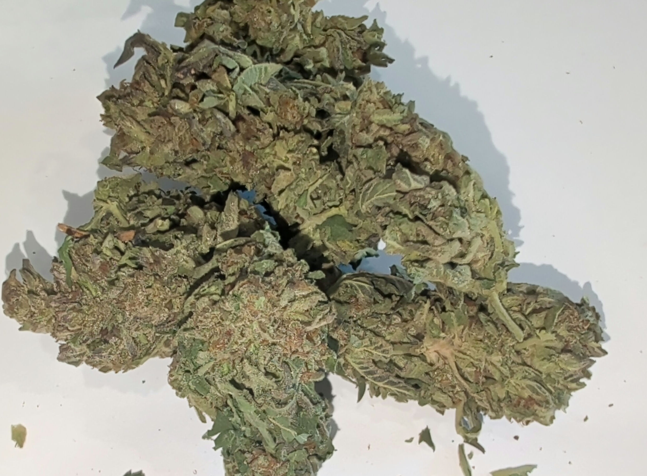 White Cookies oz