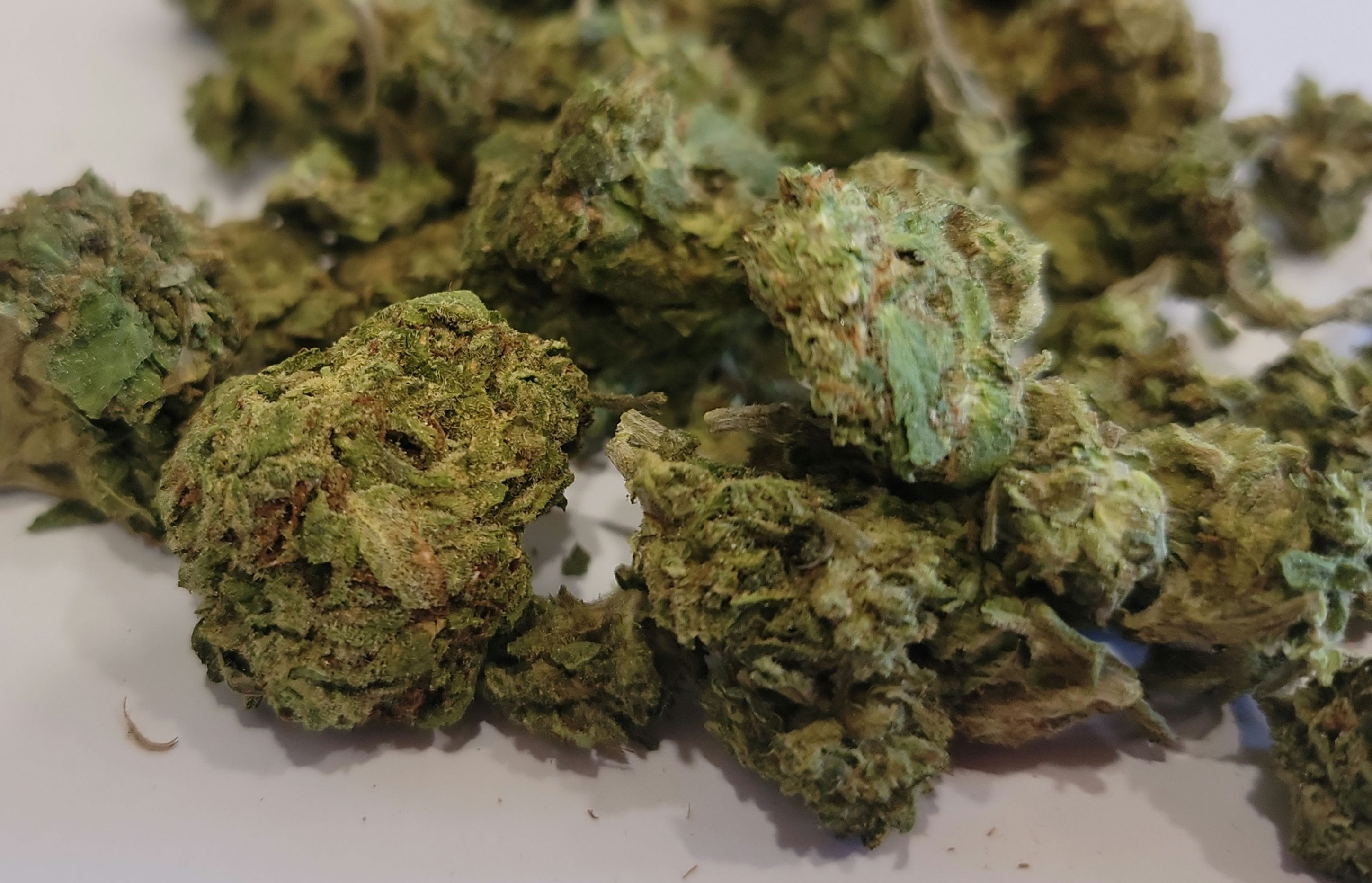 Nebula oz