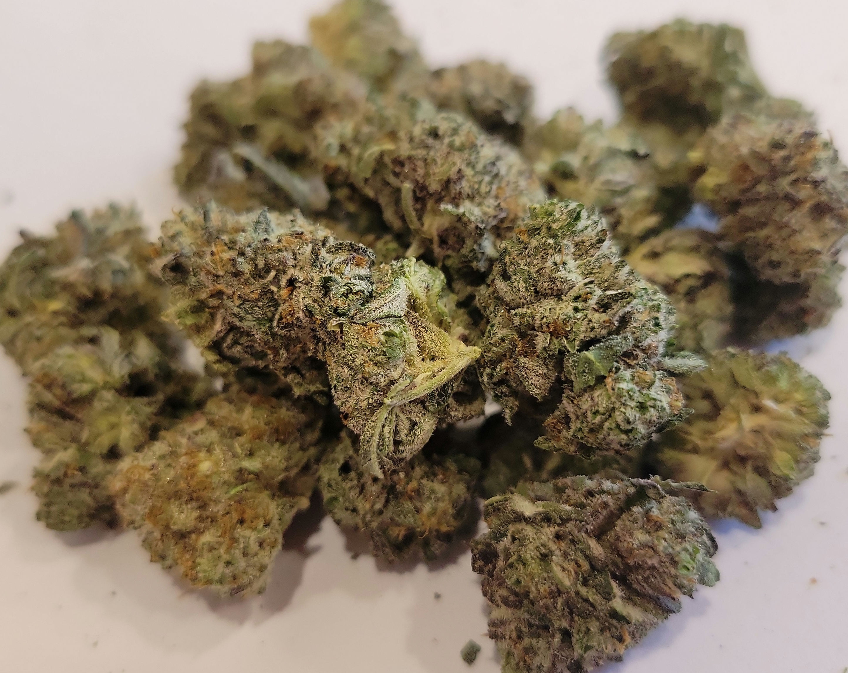 Animal Cookies oz