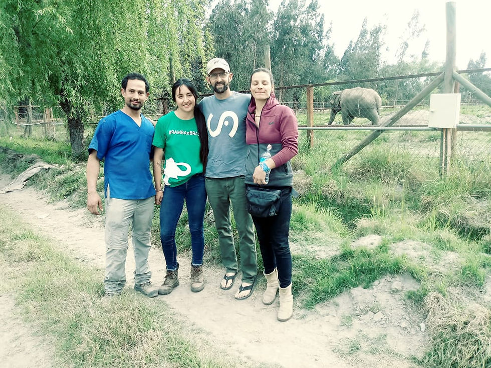 Equipo de traslado de Ramba (izq a der) Diego Tapia, Consuelo Maldonado, Scott Blais y Carolina Nazar. Octubre 2019