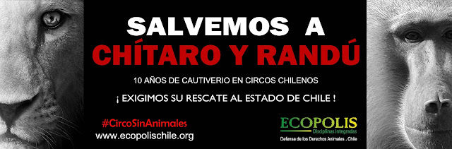 SALVEMOS A CHITARO Y RANDU