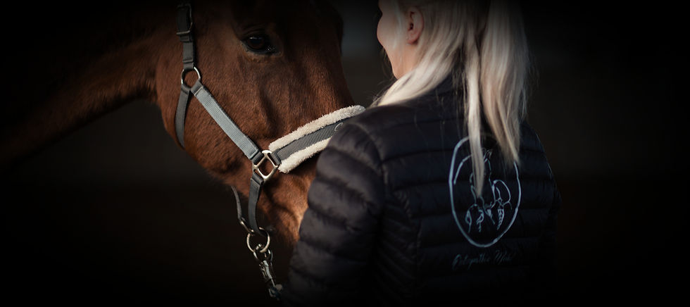 Osteopathie & Physiotherapie | Osteopathie Muhl