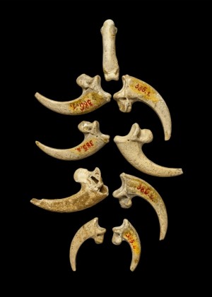 Example of ancient jewelry.