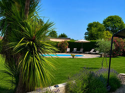 garden view to pool