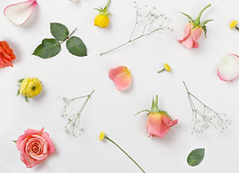 サンゴの花