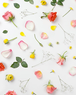 Fleurs corail