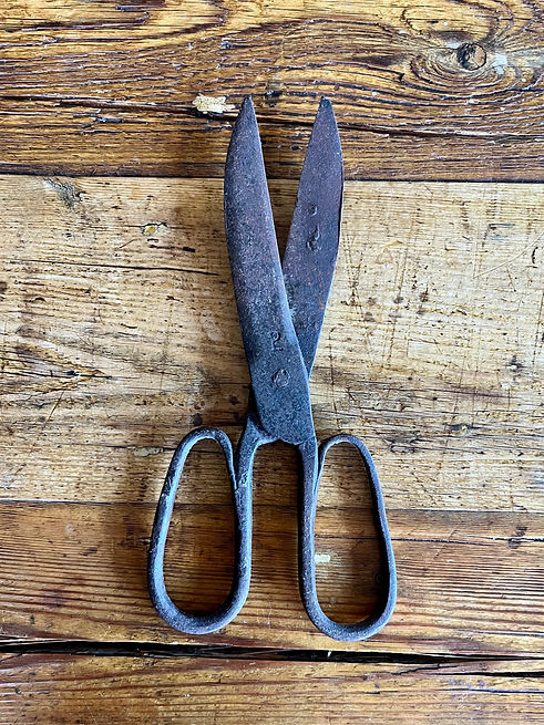 antique scissors on rustic wood table