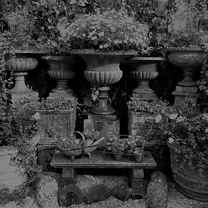 FountainsCoverPhoto_edited_edited_edited
