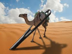 Um Camelo no Fundo de uma Agulha