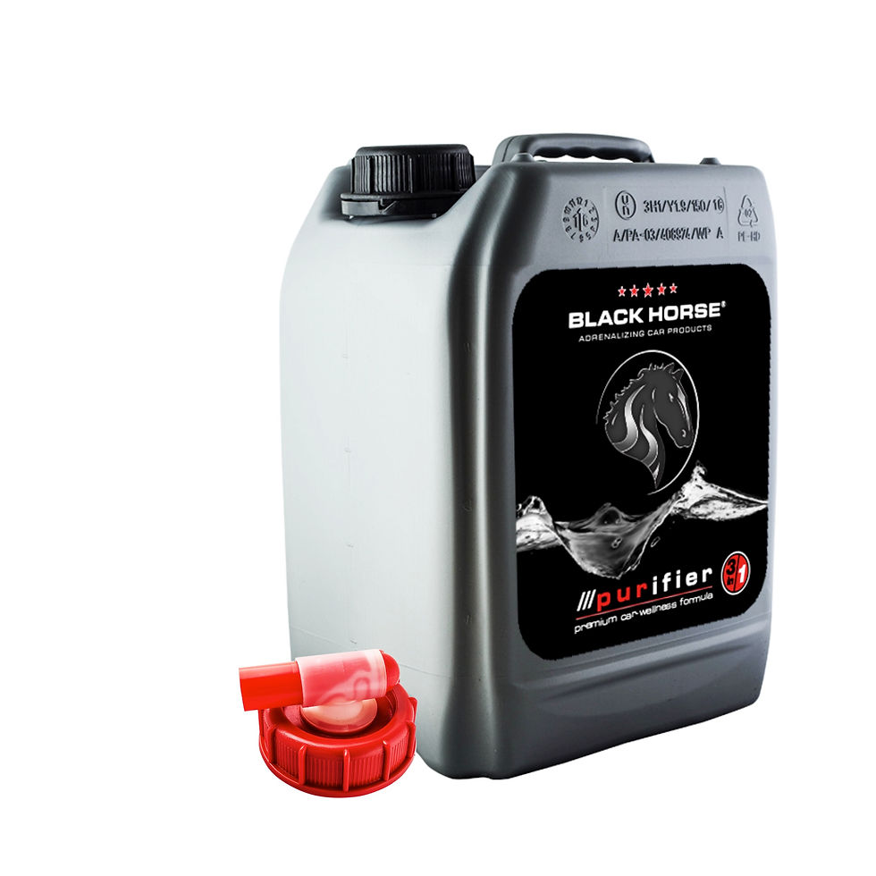 BLACK HORSE Purifier 5 Ltr.