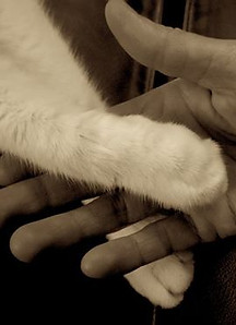 photo 6.jpg