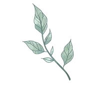 TransparentLogo.png