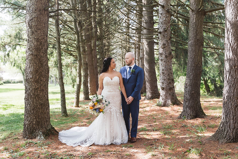 Bride and Groom standing together in between a tree line at Perona Farms in Andover, NJ