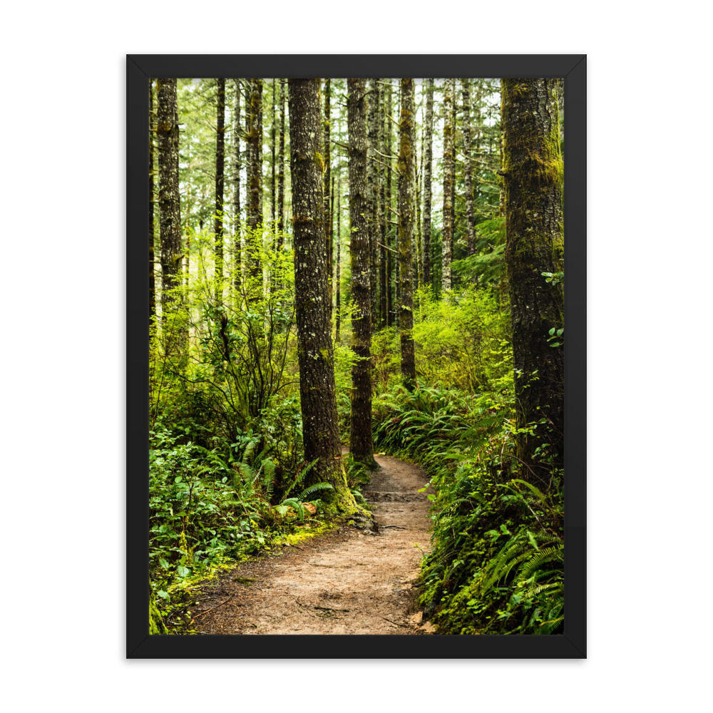 "Forest Trail" by Melissa Toledo, 18"x24" - framed photo poster