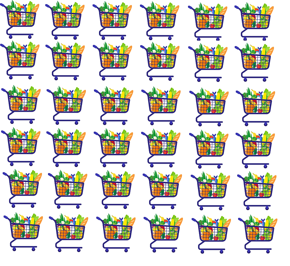 carro fondo.png