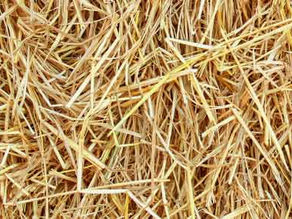 L'isolation en paille, une technique bien trop souvent écartée