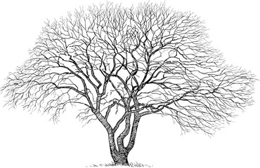 An overview of Heartwood Partners