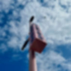 Photo-Wilcox Road © NOOMA Studio (2).jpeg